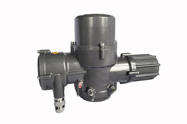 EQ系列智能一體化開(kāi)關(guān)防爆型+HART